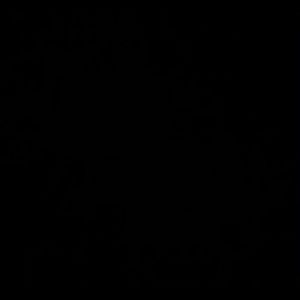 Meet your Posher, Danny